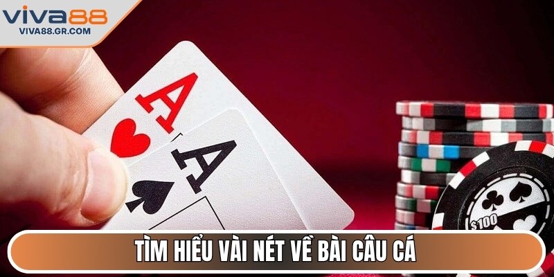 Tìm hiểu vài nét về bài câu cá