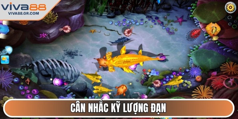 Cân nhắc kỹ lượng đạn