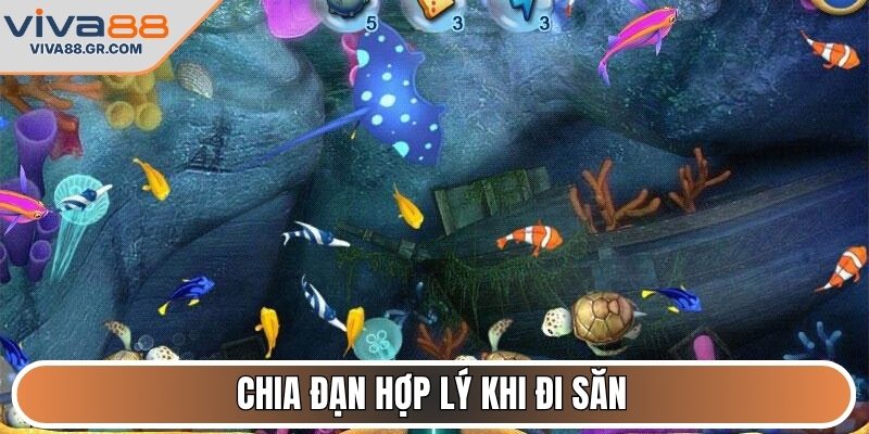 Chia đạn hợp lý khi đi săn