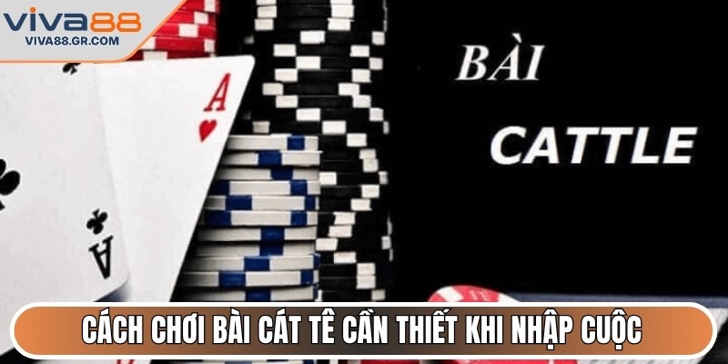 Cách chơi bài cát tê cần thiết khi nhập cuộc