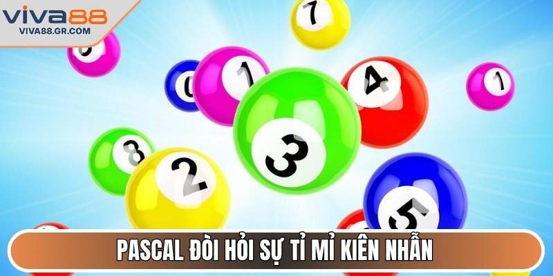 Pascal đòi hỏi sự tỉ mỉ kiên nhẫn