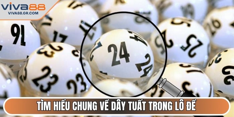 Tìm hiểu chung về dây tuất trong lô đề