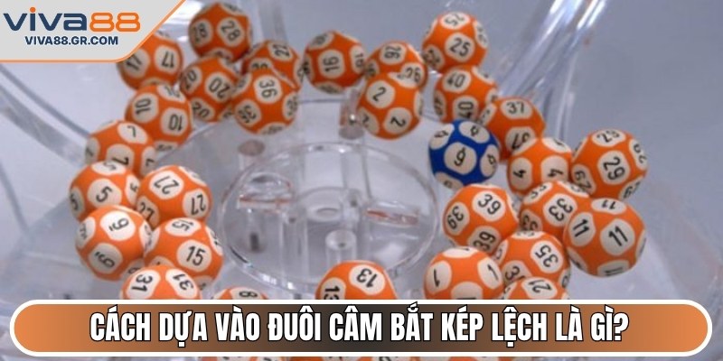 Cách dựa vào đuôi câm bắt kép lệch là gì?