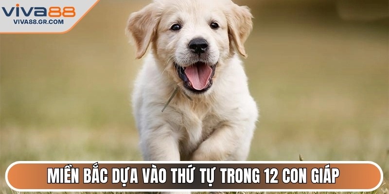 Miền Bắc dựa vào thứ tự trong 12 con giáp