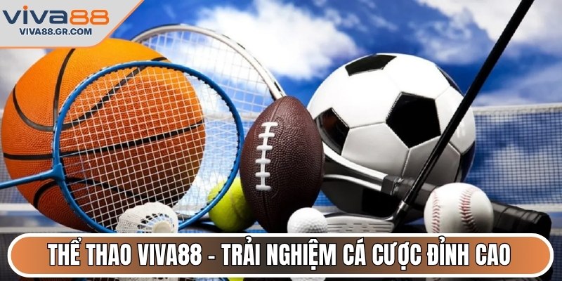 Thể thao VIVA88 - Trải nghiệm cá cược đỉnh cao